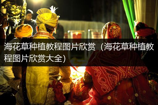 海花草种植教程图片欣赏（海花草种植教程图片欣赏大全）