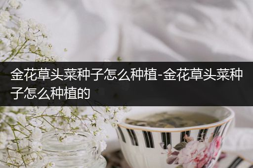 金花草头菜种子怎么种植-金花草头菜种子怎么种植的
