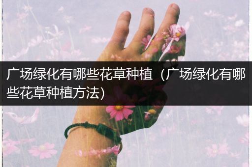 广场绿化有哪些花草种植（广场绿化有哪些花草种植方法）
