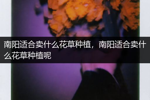 南阳适合卖什么花草种植，南阳适合卖什么花草种植呢