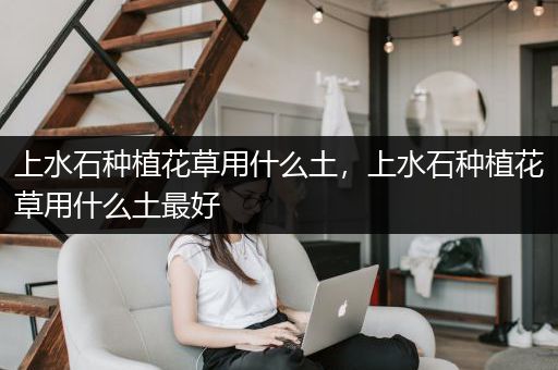 上水石种植花草用什么土，上水石种植花草用什么土最好