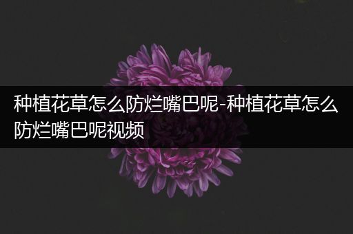 种植花草怎么防烂嘴巴呢-种植花草怎么防烂嘴巴呢视频