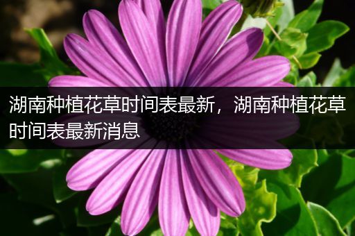 湖南种植花草时间表最新，湖南种植花草时间表最新消息