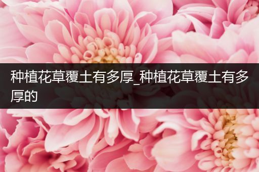 种植花草覆土有多厚_种植花草覆土有多厚的