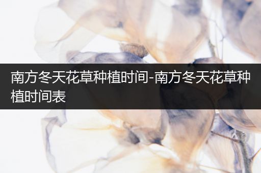 南方冬天花草种植时间-南方冬天花草种植时间表