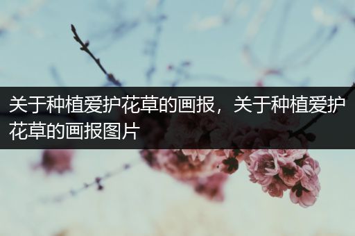 关于种植爱护花草的画报，关于种植爱护花草的画报图片