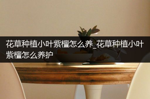 花草种植小叶紫檀怎么养_花草种植小叶紫檀怎么养护