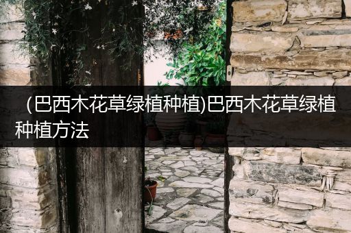 （巴西木花草绿植种植)巴西木花草绿植种植方法