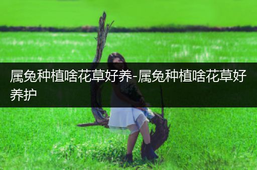 属兔种植啥花草好养-属兔种植啥花草好养护