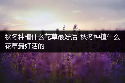 秋冬种植什么花草最好活-秋冬种植什么花草最好活的