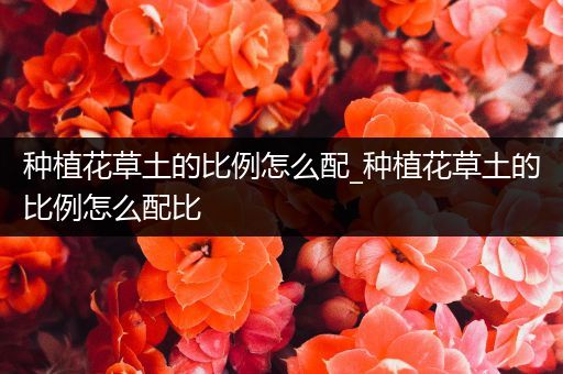 种植花草土的比例怎么配_种植花草土的比例怎么配比