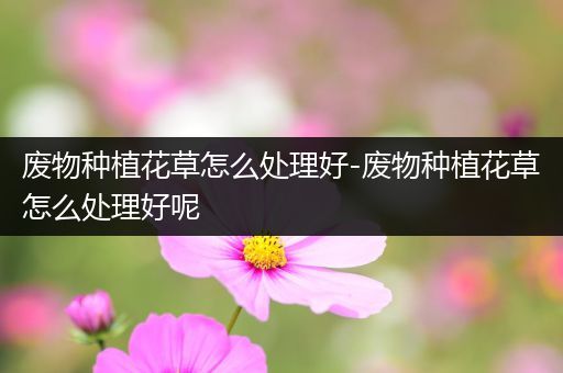 废物种植花草怎么处理好-废物种植花草怎么处理好呢