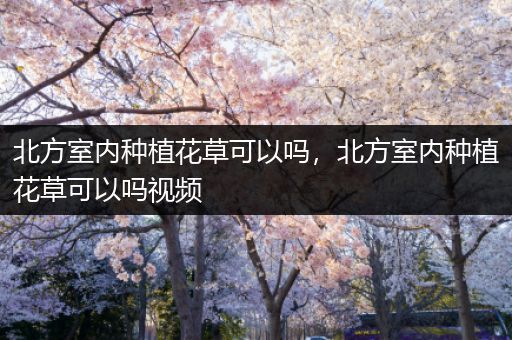 北方室内种植花草可以吗，北方室内种植花草可以吗视频