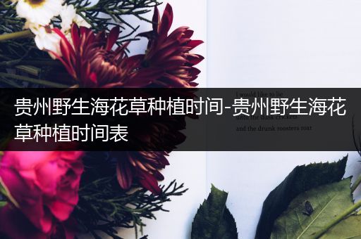 贵州野生海花草种植时间-贵州野生海花草种植时间表