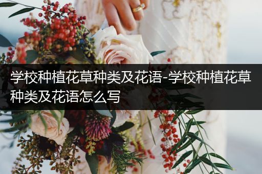 学校种植花草种类及花语-学校种植花草种类及花语怎么写