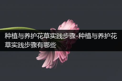 种植与养护花草实践步骤-种植与养护花草实践步骤有哪些