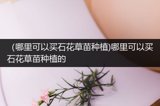 （哪里可以买石花草苗种植)哪里可以买石花草苗种植的