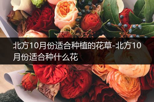 北方10月份适合种植的花草-北方10月份适合种什么花