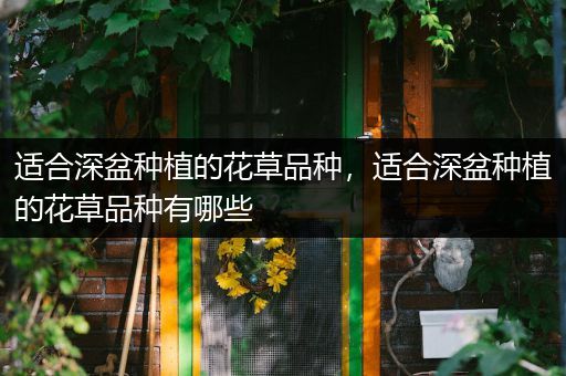 适合深盆种植的花草品种，适合深盆种植的花草品种有哪些