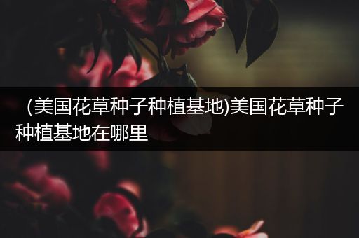 （美国花草种子种植基地)美国花草种子种植基地在哪里