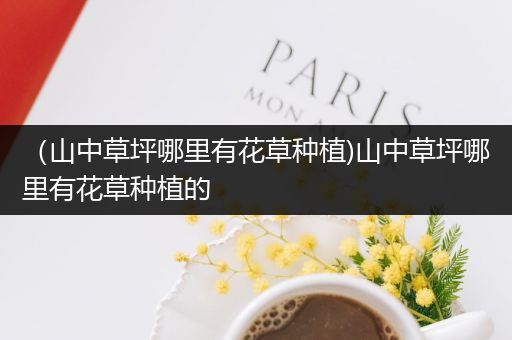 （山中草坪哪里有花草种植)山中草坪哪里有花草种植的