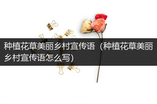 种植花草美丽乡村宣传语（种植花草美丽乡村宣传语怎么写）