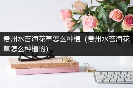 贵州水苔海花草怎么种植（贵州水苔海花草怎么种植的）