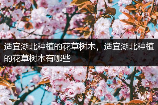 适宜湖北种植的花草树木，适宜湖北种植的花草树木有哪些