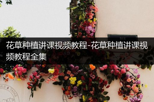 花草种植讲课视频教程-花草种植讲课视频教程全集