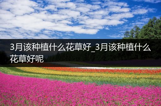 3月该种植什么花草好_3月该种植什么花草好呢