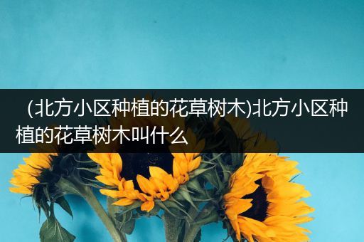 （北方小区种植的花草树木)北方小区种植的花草树木叫什么