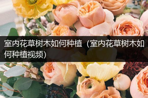 室内花草树木如何种植（室内花草树木如何种植视频）