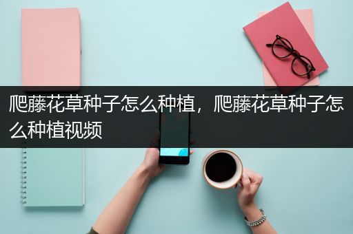 爬藤花草种子怎么种植，爬藤花草种子怎么种植视频