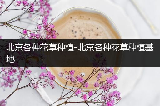 北京各种花草种植-北京各种花草种植基地