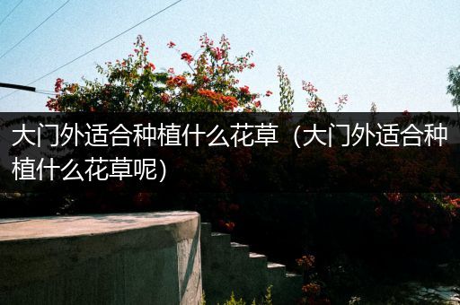 大门外适合种植什么花草（大门外适合种植什么花草呢）