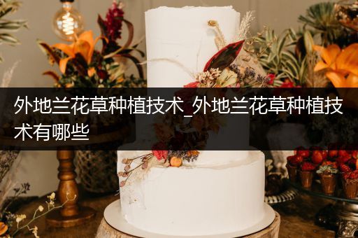 外地兰花草种植技术_外地兰花草种植技术有哪些