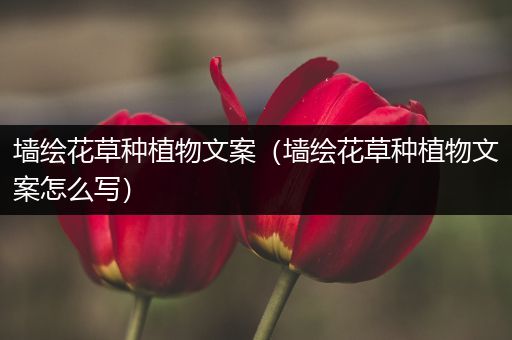墙绘花草种植物文案（墙绘花草种植物文案怎么写）