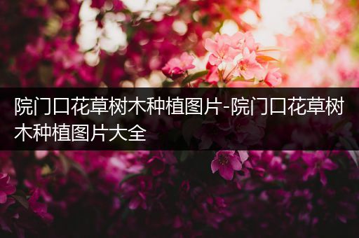 院门口花草树木种植图片-院门口花草树木种植图片大全