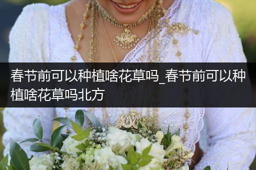 春节前可以种植啥花草吗_春节前可以种植啥花草吗北方