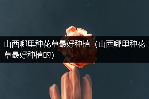 山西哪里种花草最好种植（山西哪里种花草最好种植的）