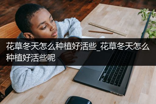 花草冬天怎么种植好活些_花草冬天怎么种植好活些呢