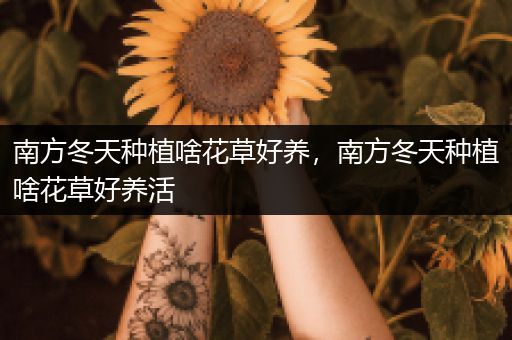 南方冬天种植啥花草好养，南方冬天种植啥花草好养活