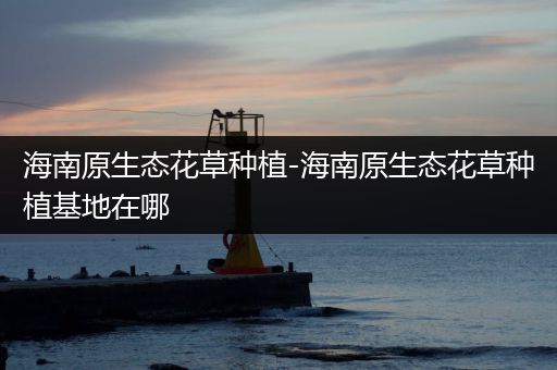 海南原生态花草种植-海南原生态花草种植基地在哪