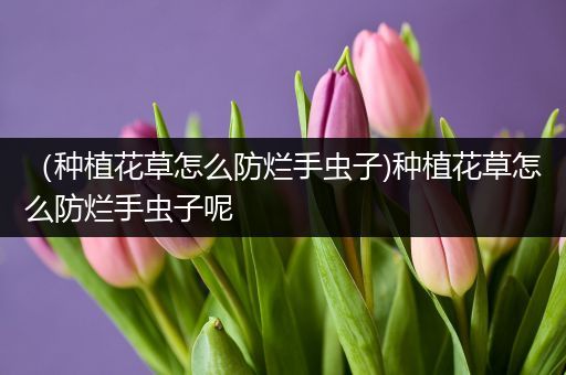 （种植花草怎么防烂手虫子)种植花草怎么防烂手虫子呢