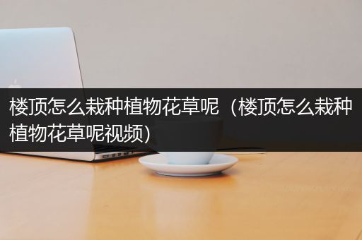 楼顶怎么栽种植物花草呢（楼顶怎么栽种植物花草呢视频）