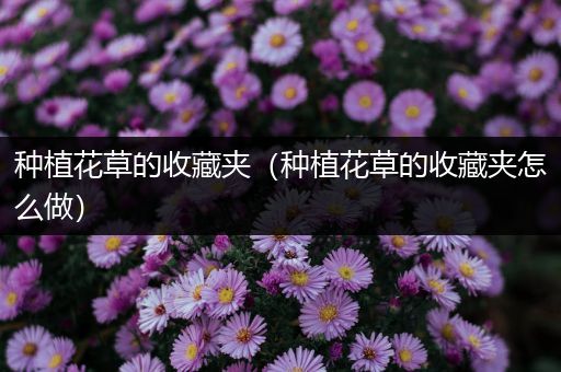 种植花草的收藏夹（种植花草的收藏夹怎么做）