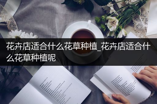 花卉店适合什么花草种植_花卉店适合什么花草种植呢