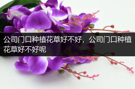 公司门口种植花草好不好，公司门口种植花草好不好呢