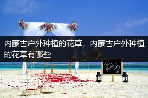 内蒙古户外种植的花草，内蒙古户外种植的花草有哪些