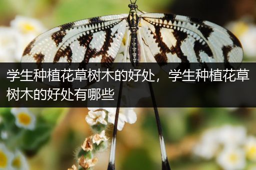 学生种植花草树木的好处，学生种植花草树木的好处有哪些